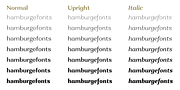 Alethia Next, a Sans Serif Font by Pepper Type (Thumbnail 2 of 14)
