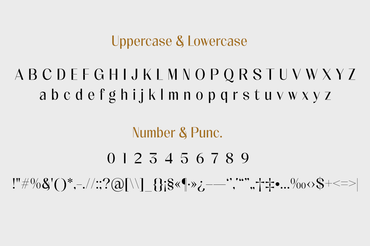 Meladishya, a Sans Serif Font by Differentialtype (Photo 4 of 9)