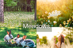 10 Meadows Lightroom Presets, a Preset Add-On by RamsaGraphi