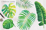 Tropical palm leaves, an Illustration by OJardin (Thumbnail 7 of 8)