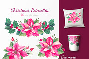 40% OFF. Christmas poinsettia SET, a Decorative Illustration by oKOLOstyle (Thumbnail 6 of 7)