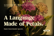 Mikaela Elegant Serif Font, a Serif Font by Perfectype (Thumbnail 5 of 8)