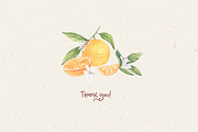 Watercolor Oranges, an Illustration by Irina Diasli (Thumbnail 12 of 12)