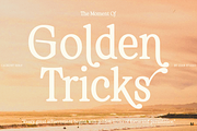Cagront Serif, a Serif Font by studiobasic (Thumbnail 4 of 10)