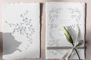 Floral swirls clipart, a Decorative Illustration by Sensual Art (Thumbnail 4 of 8)