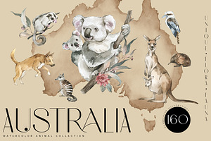 "AUSTRALIA" Flora & Fauna collection