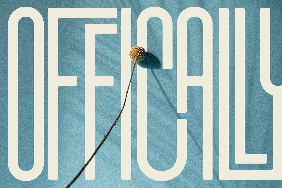 First Contact - 16 Fonts in One Pack, a Sans Serif Font by SilverStag Type Foundry (Photo 20 of 30)