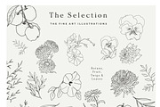 Autumn & Winter Flowers and Posters, a Decorative Illustration by Laras Wonderland (Thumbnail 6 of 11)