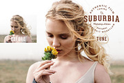 Suburbia Photoshop Actions, an Action Add-On by skybluecreative (Thumbnail 5 of 7)