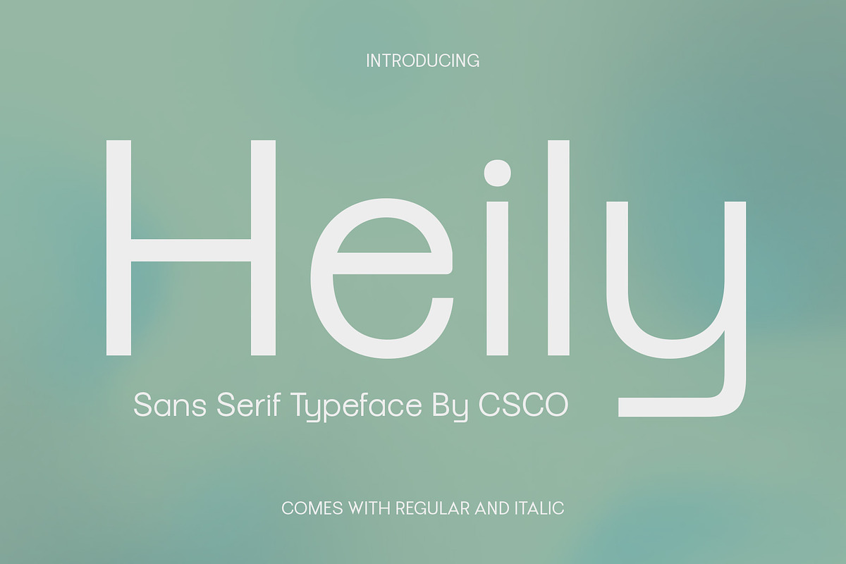 Heily – Grotesque Sans Serif, a Sans Serif Font by Craft Supply Co. (Photo 1 of 8)