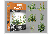 81 Farm Plants Photo Overlays, a Nature Photo by KenScape (Thumbnail 1 of 3)