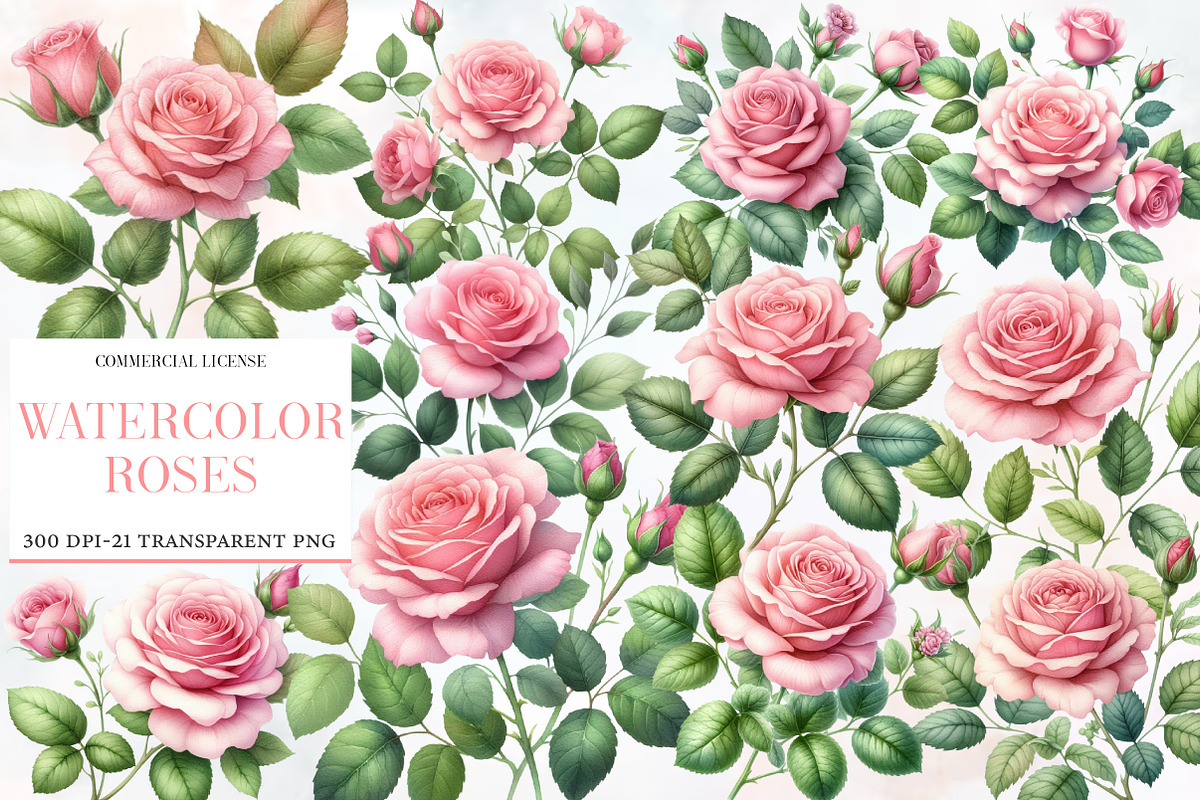 Watercolor Roses Clipart Blush Flora, an Illustration by Designworld (Photo 1 of 6)