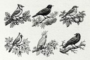 Vintage Bird Line Art Graphics, an Animal Illustration by DENIDigitalArtSudio (Thumbnail 3 of 7)