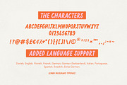 Lemon Milkshake Typeface and Dings, a Font by Nicky Laatz (Thumbnail 21 of 21)