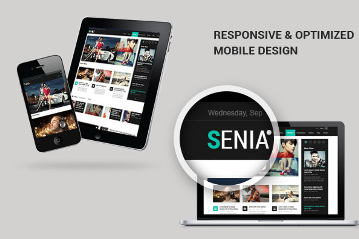 Senia - WordPress Magazine Theme, a WordPress Template by Digipieces (Photo 4 of 5)