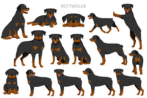 Rottweiler Clipart