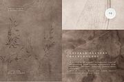 Nature Texture Backgrounds, a Background Graphic by Altea Design Studio (Thumbnail 14 of 20)