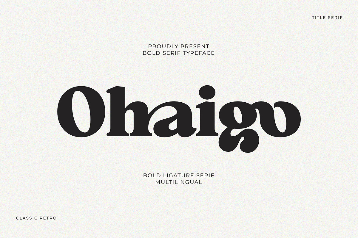 Ohaigo Serif Typeface, a Serif Font by Violet Natural (Photo 1 of 10)