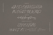 The Hamstter Signature Font, a Script Font by Vultype Co. (Thumbnail 10 of 11)