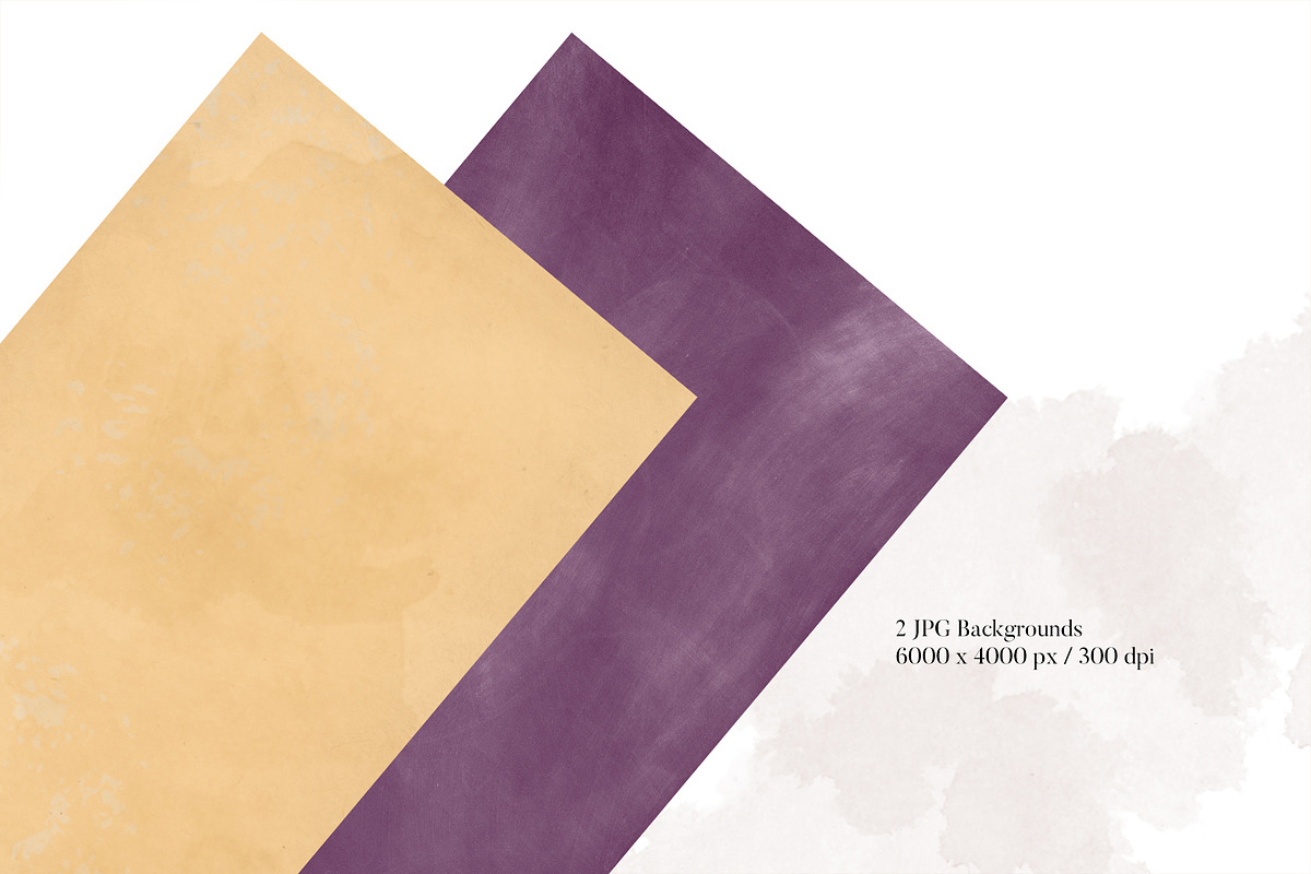 Isolated real flowers clipart set, an Object Graphic by The Graphic Parade (Photo 8 of 14)