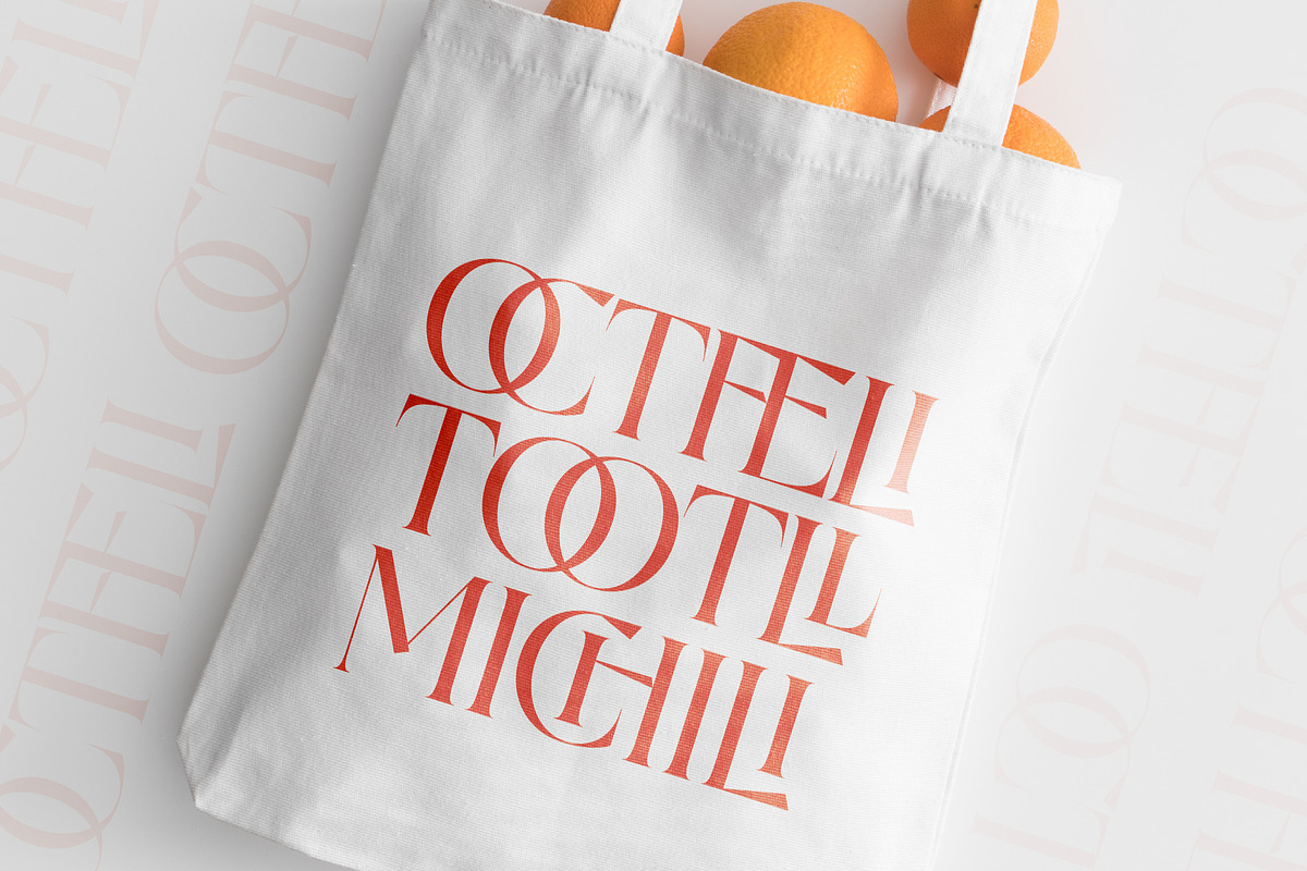 Midlife Cricise Modern Serif Font, a Serif Font by timelesstype.co (Photo 4 of 20)