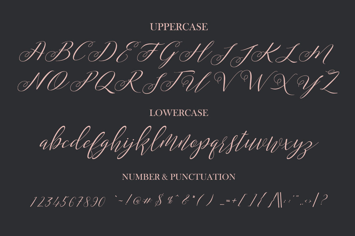Mordane, a Script Font by Gatype (Photo 9 of 10)