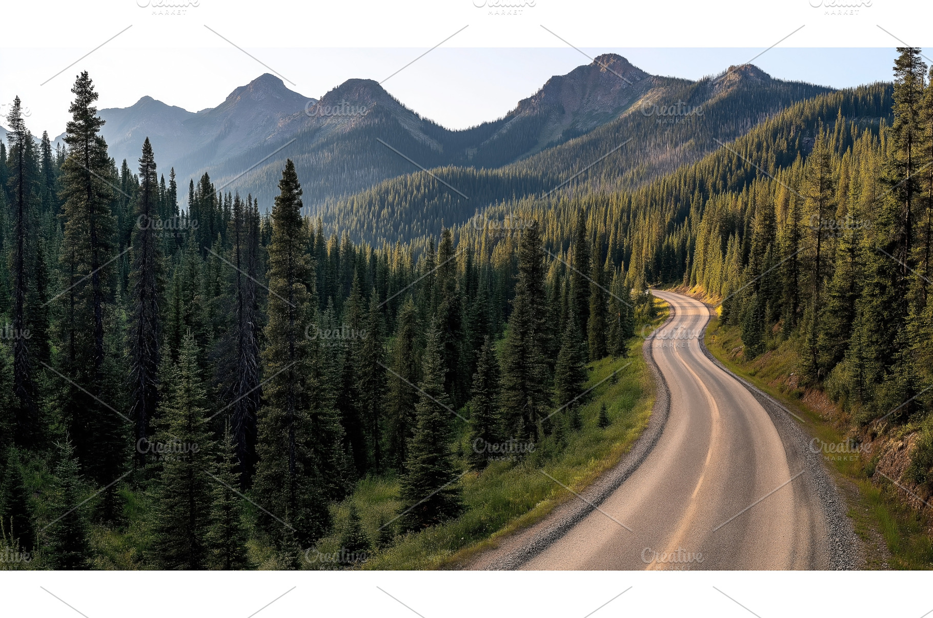 Winding road through dense, a Nature Photo by Sergey Kotenev