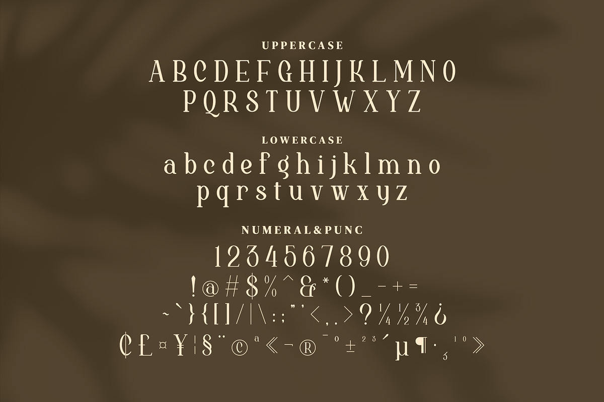 Brigehelyn Serif Fonts, a Serif Font by mahstudios (Photo 12 of 15)