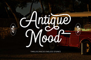 Blandony - Modern Vintage Monoline, a Script Font by Novitype (Thumbnail 2 of 12)