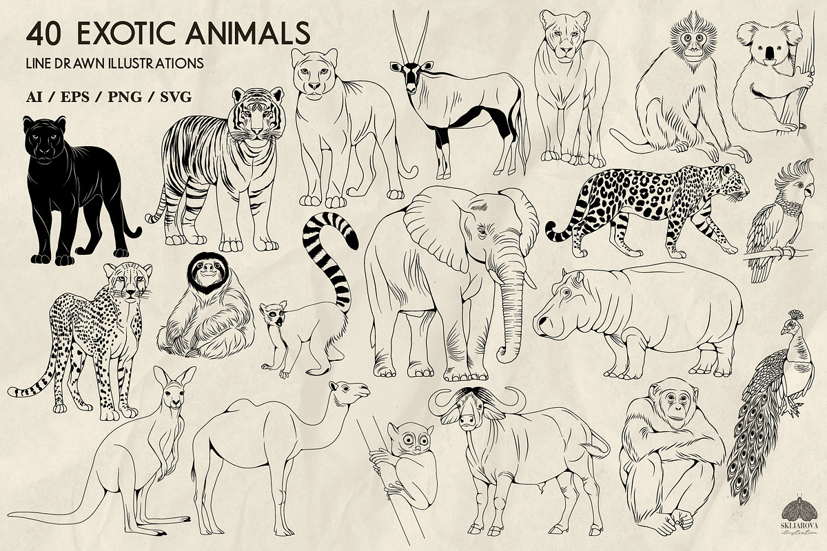 Exotic Animals Line Art + Procreate, an Illustration by Skliarova (Photo 3 of 3)