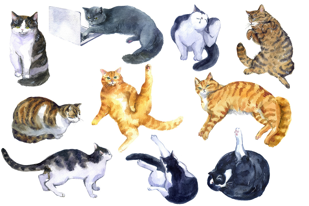 Watercolor Clipart, Cat Clipart, png, an Animal Illustration by KomtsyanTatyanaArt (Photo 4 of 10)