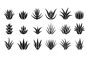 Aloe vera icons set. Medicinal aloe, an Object Illustration by Valerie Bodnar