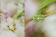 Soft Floral Spring Blur Backgrounds, a Background Graphic by eclosque (Thumbnail 16 of 48)