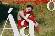 Quvera - Elegant Serif Display Font, a Serif Font by Brand Earth (Thumbnail 5 of 7)