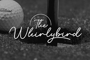 Ilyra - Modern Calligraphy Script Fo, a Script Font by Flawless And Co (Thumbnail 6 of 10)