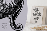 Witchcraft - Gothic Illustration Set, a Seasonal Illustration by Yevheniia (Thumbnail 10 of 11)