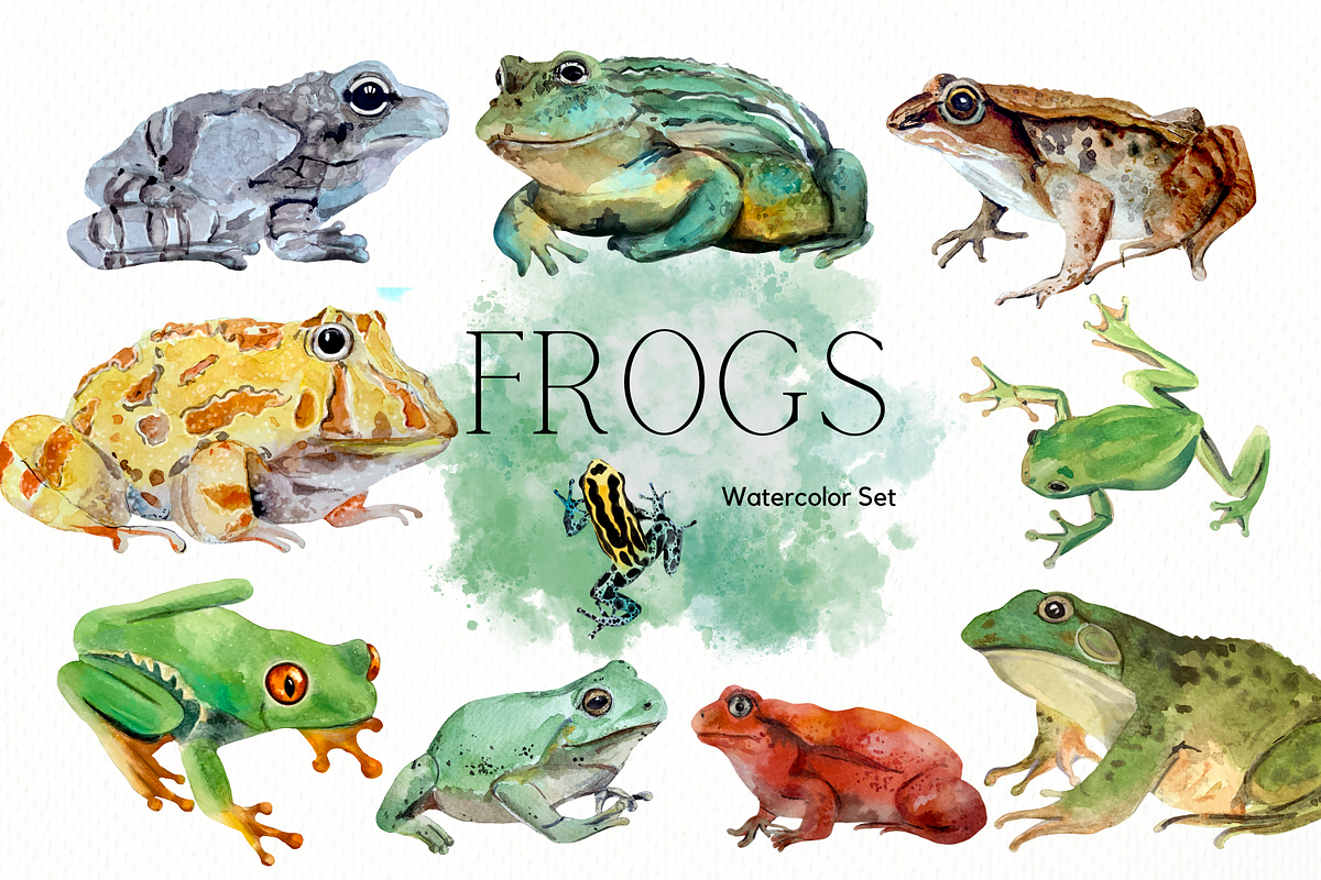 Frogs Watercolour Set, an Education Illustration by Tati Bordiu (Photo 1 of 5)