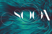 Port Words, a Font by Lacre Type Foundry (Thumbnail 1 of 4)