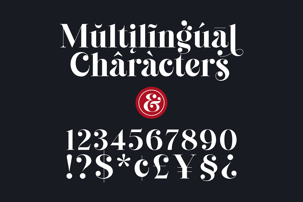 Cheva Display Serif Font, a Sans Serif Font by Letteralle Studios (Photo 9 of 9)