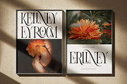 Aroney Family | 5 Style Fonts, a Serif Font by IM Studio (Thumbnail 4 of 12)