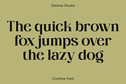 Cirelline, a Serif Font by Zaloma Studio (Thumbnail 12 of 19)