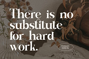 Migosta Elegant Ligature Serif Font, a Serif Font by Perfectype (Thumbnail 2 of 6)