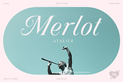 TAN - ANGLETON, a Serif Font by TanType (Thumbnail 16 of 16)