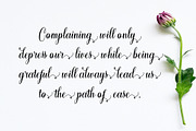 Girabella Script, a Script Font by Bosstype Studio (Thumbnail 2 of 7)