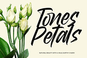 Mirage Factory Bold Brush Font, a Script Font by Letterena Studios Script (Thumbnail 11 of 20)