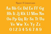 Jensynn, a Serif Font by Studio One Four (Thumbnail 2 of 11)