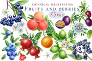 Fruits and berries, an Illustration by Hanna Hryharenka (Thumbnail 1 of 16)