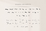 Balkind - Modern Beauty Serif Font, a Serif Font by Ekahermawan (Thumbnail 23 of 25)