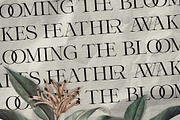 Winter Solace – Calligraphic Serif, a Serif Font by Krismagraph (Thumbnail 6 of 10)