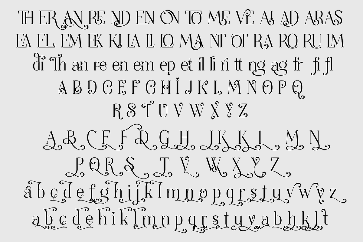 Thenyodia – Font Family, a Serif Font by NDNL Studio (Photo 12 of 12)